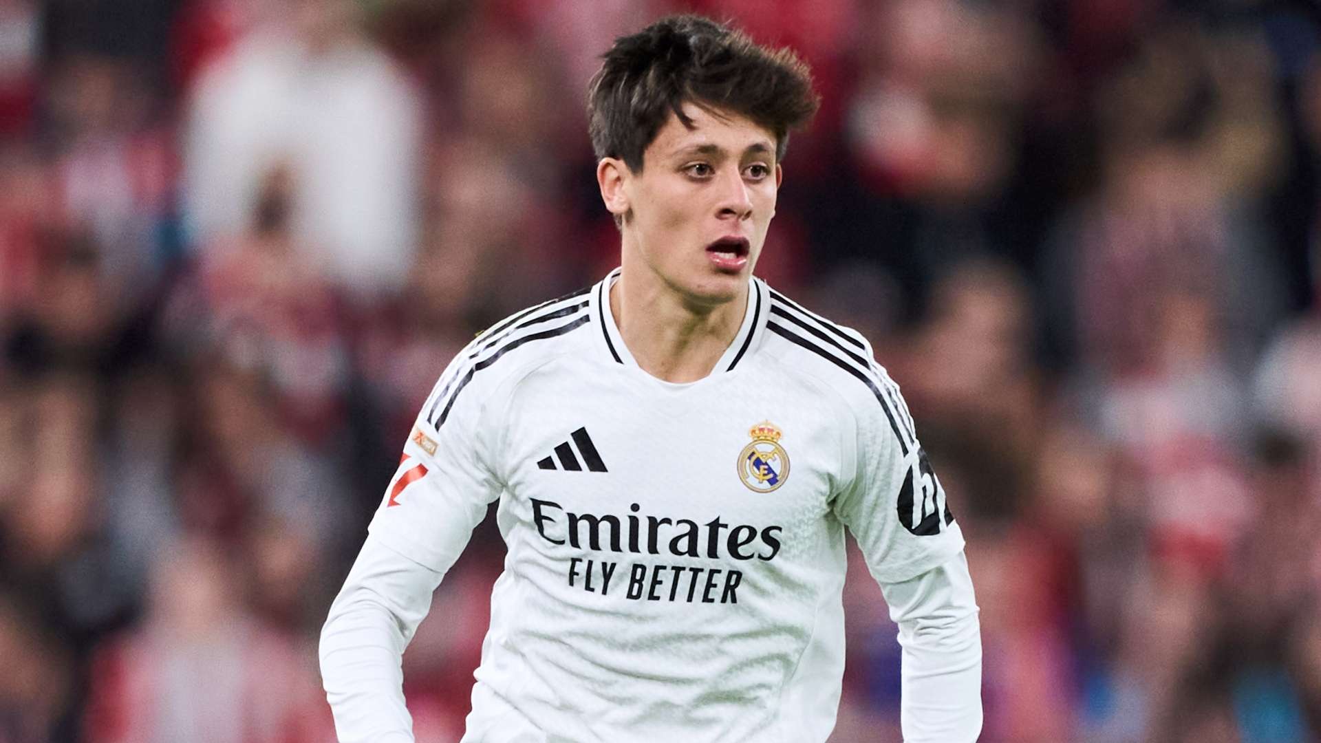 密不透风的 密不透风的