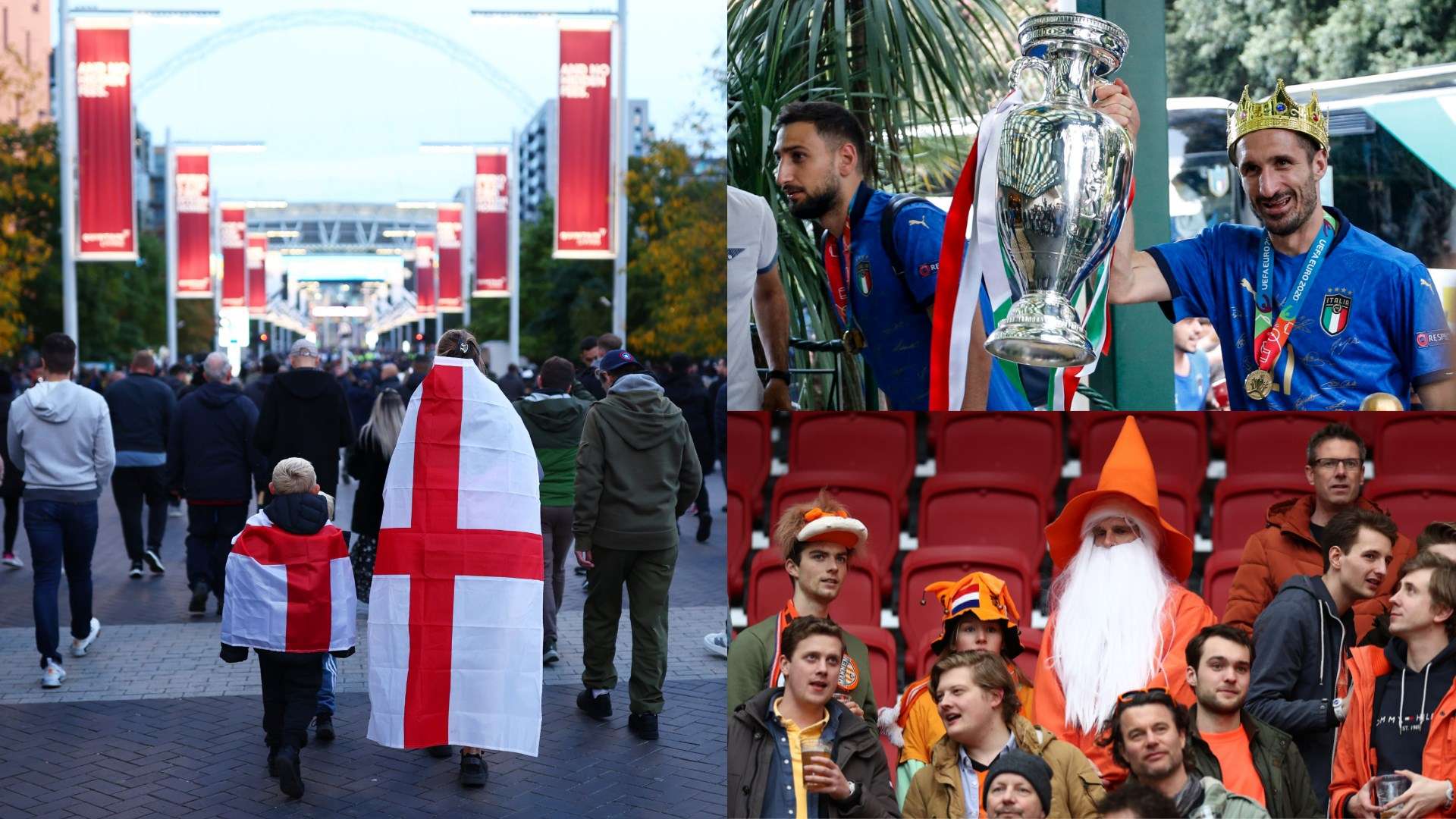 它们具备更 它们具备更